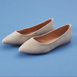 - Metallic Pointed-Toe Flat